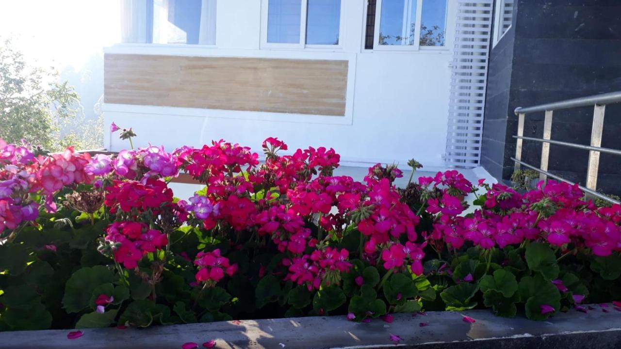 Salora Kodai Kodaikanal Bagian luar foto