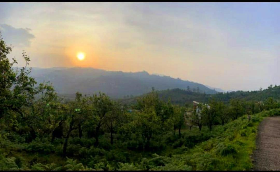 Salora Kodai Kodaikanal Bagian luar foto